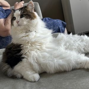 Meet your Posher, Mindy